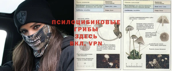МДМА Осинники