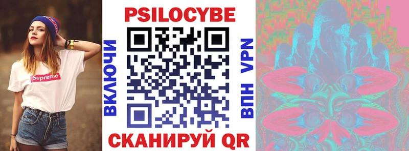 купить   Тайга  Галлюциногенные грибы Cubensis 