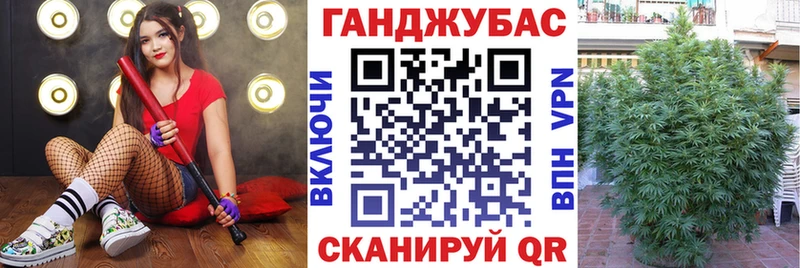omg   Тайга  Канабис конопля 